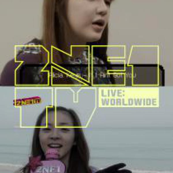 《2NE1》《第11集》